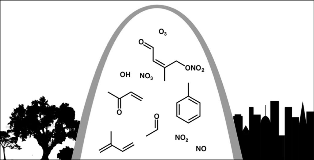 Isoprene, emitted at night by some trees, can have a big impact on St. Louis' ozone levels the following morning.