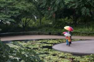 people with umbrellas