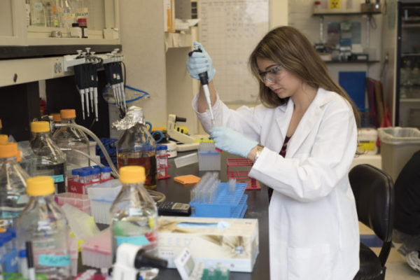 High school student awarded for work on Ebola protein from bats