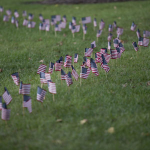 american flags