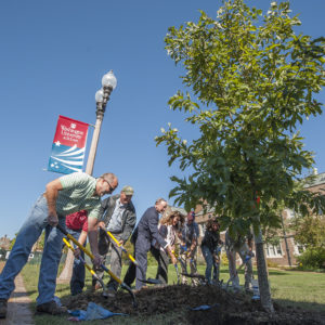 tree planting