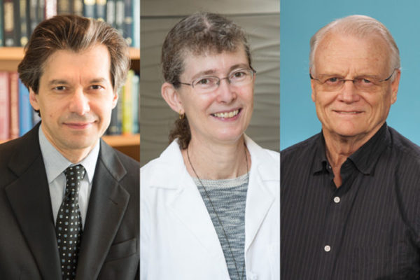 AAAS names three faculty as 2016 fellows