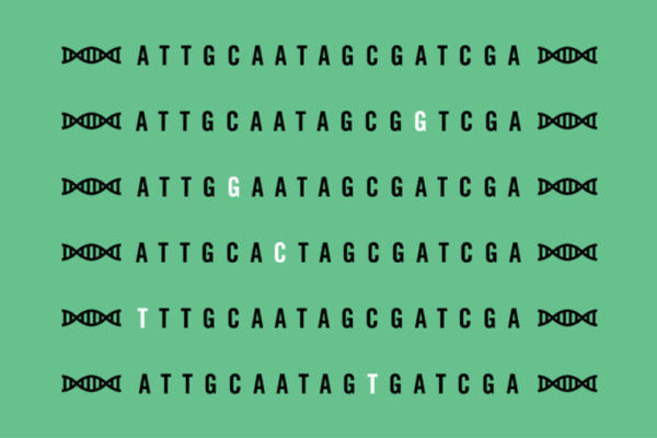 New technique aids search for genetic roots of disease