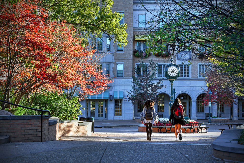 fall leaves on campus