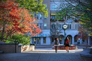 fall leaves on campus