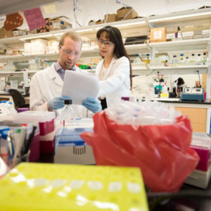 Li Ding works in her lab
