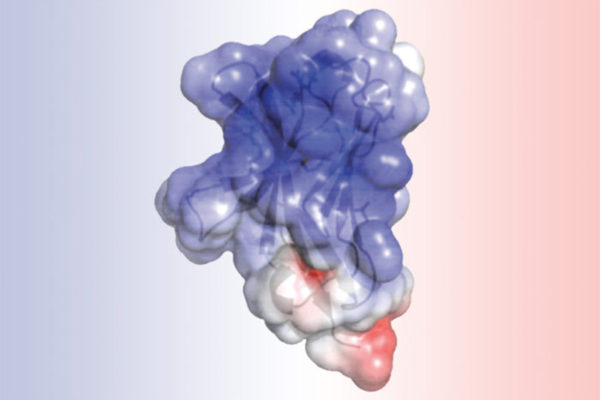 Study details molecular roots of Alzheimer’s