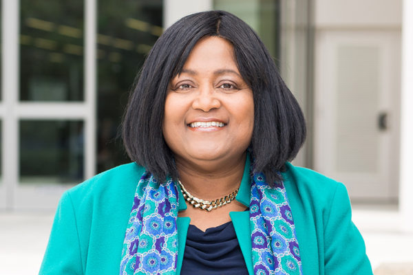 Stephens appointed university librarian