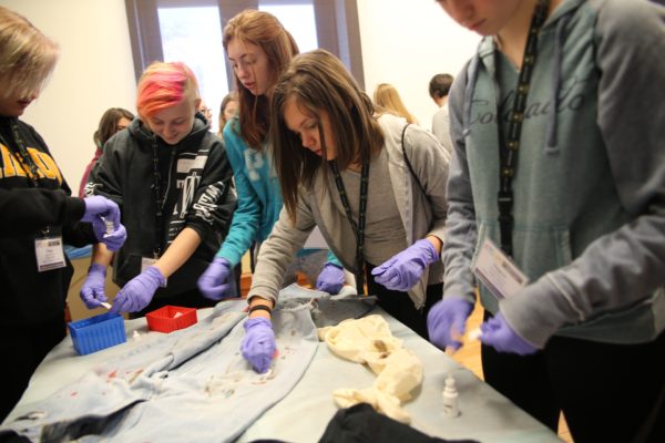 500 girls explore STEM careers at Washington University