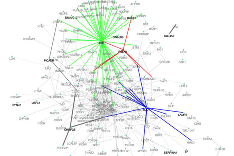 graphic of Alzheimer's genetic disease factors