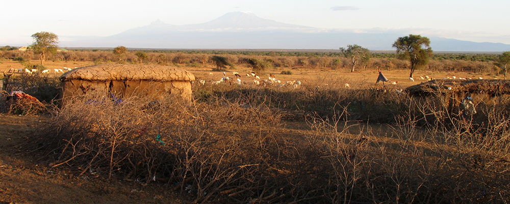 temporary Maasai homestead