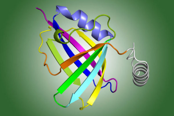 New clues found to common respiratory virus