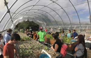 urban farm