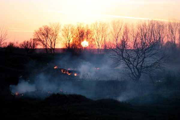 A new discovery about a type of wildfire residue