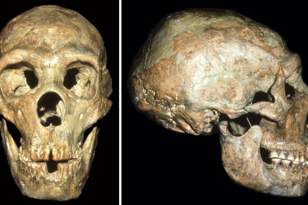 Older Neandertal survived with a little help from his friends