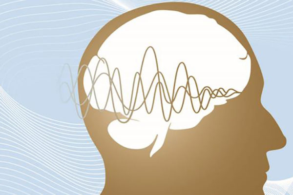 Bear or chipmunk? Engineer finds how brain encodes sounds