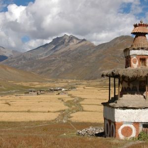 Barley continues to be the staple diet of people living in this Dolpo Valley of Nepal, a harsh environment at 4.000 meters above sea level.