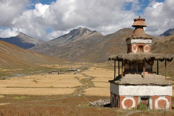 How barley reached China: A story of food globalization