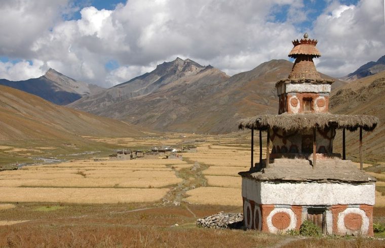 Barley continues to be the staple diet of people living in this Dolpo Valley of Nepal, a harsh environment at 4.000 meters above sea level.