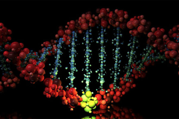 How cells detect, mend DNA damage may improve chemotherapy