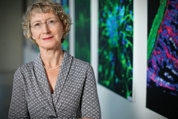 Solnica-Krezel honored for contributions to developmental biology