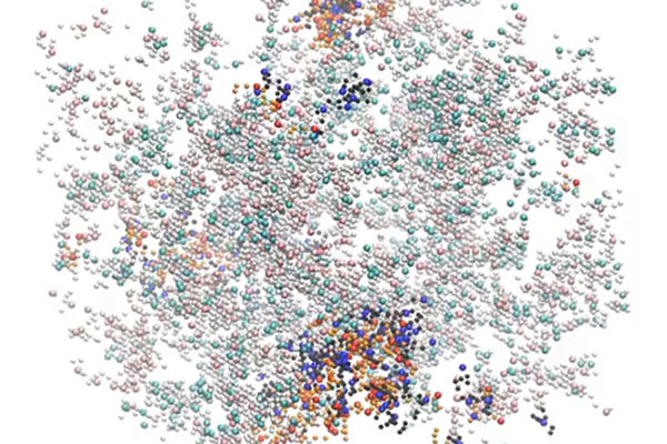 Uncovering the design principles of cellular compartments