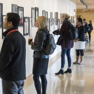 exhibit on women's perseverance