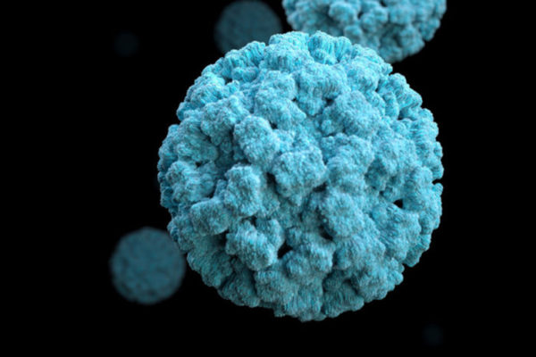 How highly contagious norovirus infection gets its start