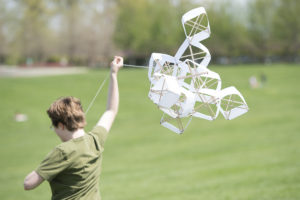 kites in Forest Park