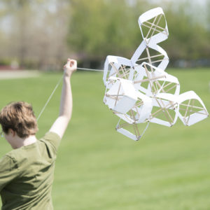 kites in Forest Park