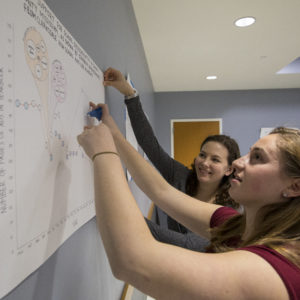 Celia Stern and Ali Nahra, both Arts & Sciences Class of ’20, also participated in presenting findings in Professor Cunningham’s “Introduction to Research Methods” course. Photos by Joe Angeles/WUSTL Photos