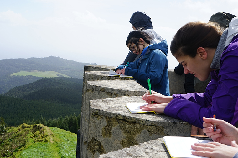 Azores field geology