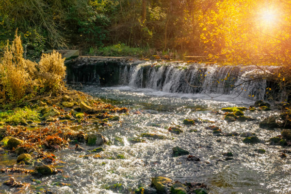 Changing our understanding of the carbon cycle