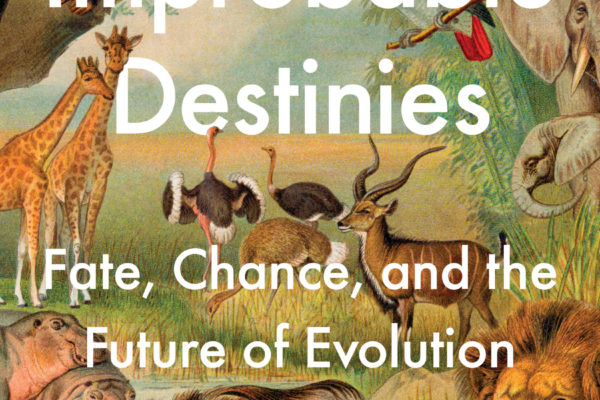 Improbable Destinies