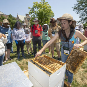 beekeeping class