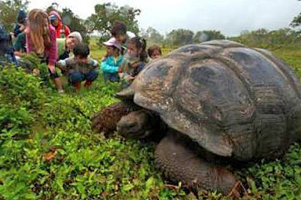 On the Map: Galapagos Islands