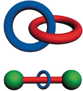 catenane and rotaxane