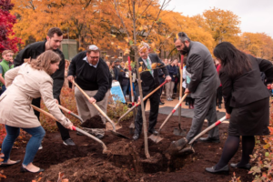 tree planting
