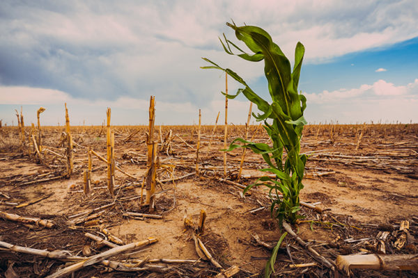 Plant’s recycling system important in sickness and in health