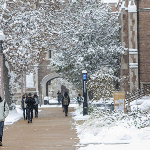 snowy campus