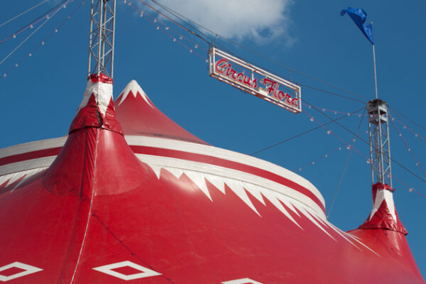 Circus Flora Welcomes University