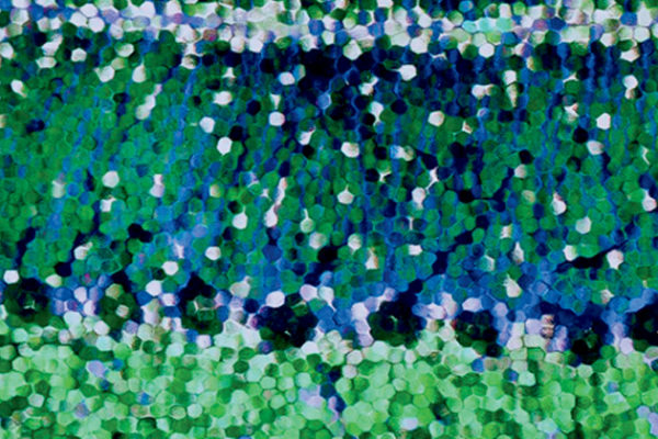Where Art Meets Science