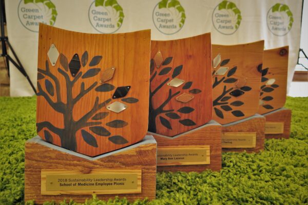 Sustainability leaders honored at Green Carpet Awards