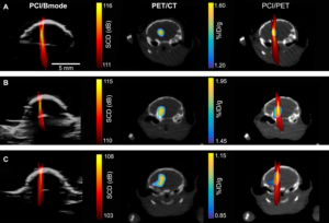 Cavitation dose painting for precision drug delivery