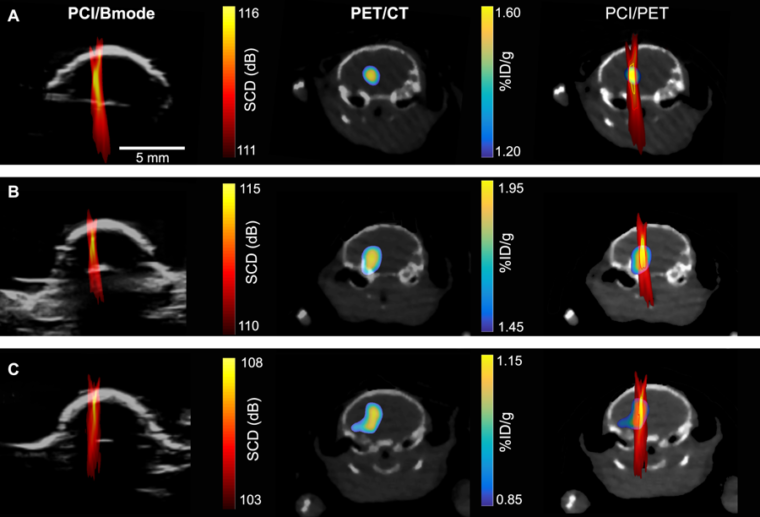 Cavitation dose painting for precision drug delivery