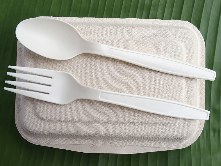 biodegradable cutlery