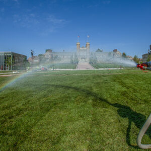 sod in Tisch Park