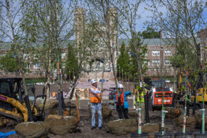 tree planting on east end