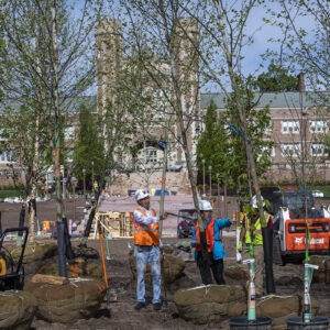 tree planting on east end