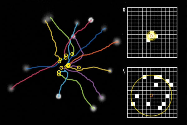 Ultrasound used to measure movement of ciliated cells